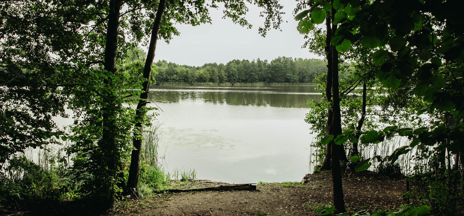 stanowisko 12-1