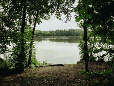 stanowisko 12-1