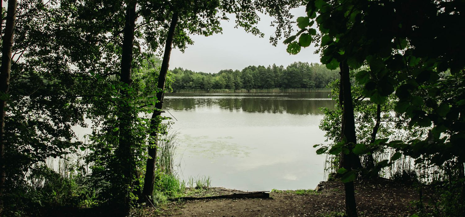 stanowisko 12