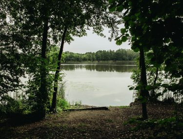 stanowisko 12