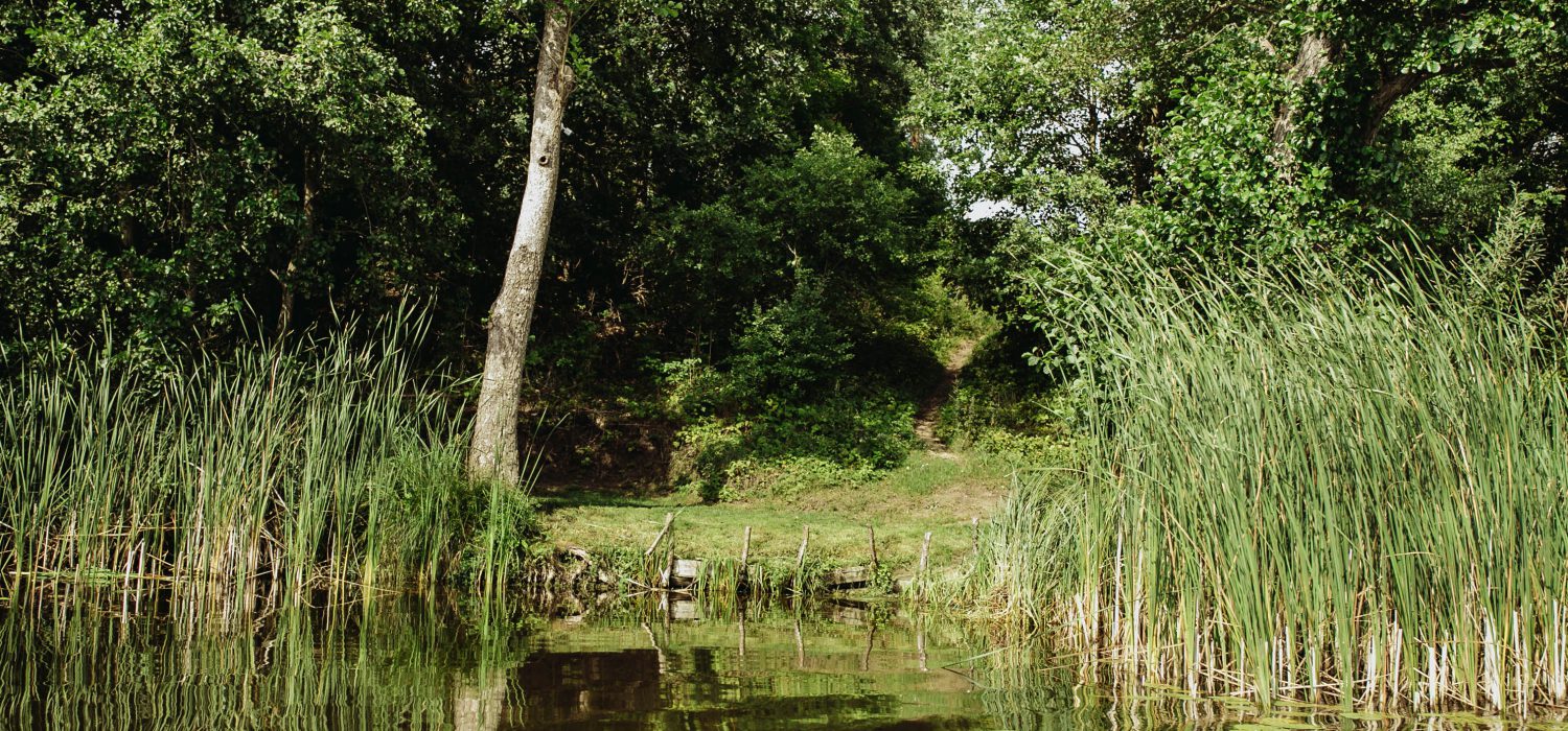 stanowisko 6-4