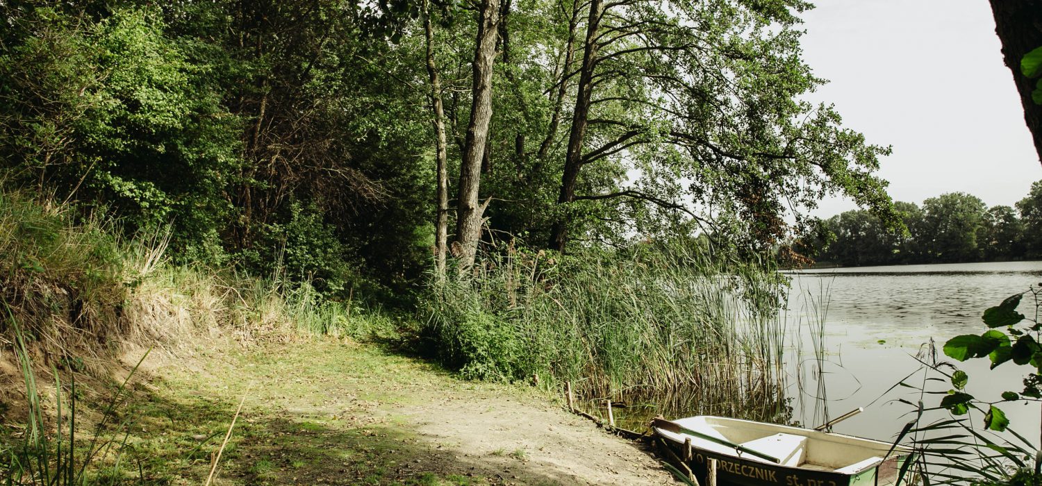 stanowisko 7